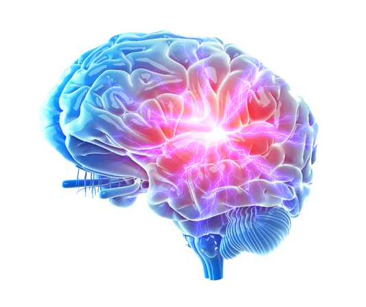 The Deep Sleep–Alzheimer’s Connection