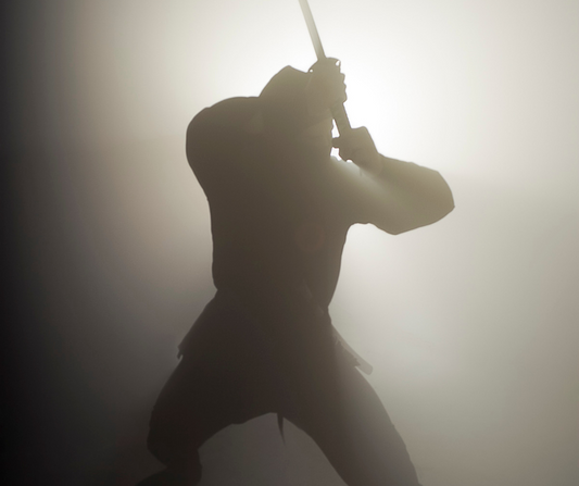 The Power of the Ninja!