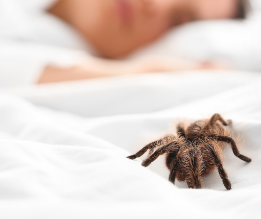 Odd Sleep Myths: Cheese Nightmares to Spider Snacks